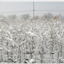 완주중학교 이미지