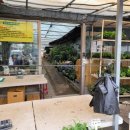 한영마트 이미지