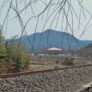 고향국시 이미지