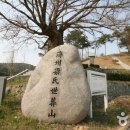 양송천 묘역 Daum카페