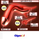 남자와 여자의 체온(02) 이미지