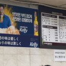 명동닭한마리지경자