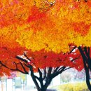 하늘1(탐방객안내소) 이미지