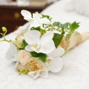 마리엔결혼정보 네이버블로그