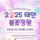 마레모어 이미지