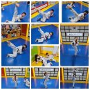 박조현태권도장 이미지