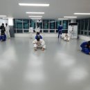 탄방유도관 이미지