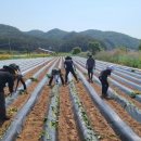 영덕군청 이미지