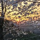 봉황교 주차장 이미지