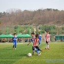 천안초등학교 이미지