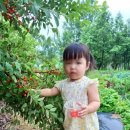 파주빅스맘어린이집 이미지