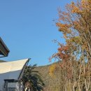 간이화장실(유왕골자연휴양지) | 대전근교 펜션 팜스테이 신축 풀빌라 충북 보은 스파펜션 추천