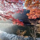 시티원부동산중개 이미지