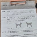 꼬모댕 프라이빗 애견호텔 이미지