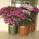 조이플라자 이미지