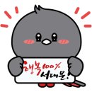 세빛약국 이미지