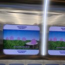 북구재활용백화점 | [부산] 포켓몬 지하철 스탬프랠리, 부산 실내놀거리(포켓몬 지하철 티켓/가챠)