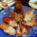 외포리일식 이미지