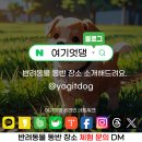 VILLA de LOUIS 이미지