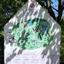 카멜리아힐 | 🌿 동백꽃 없어도 괜찮을까? 제주 카멜리아힐 현실 후기