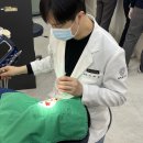 퍼펙트치과기공소 | 합리적으로 앞니 라미네이트 가격 판단하는 방법