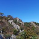 오봉산농원 이미지