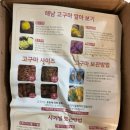 꿀이농장 이미지