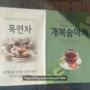 겨울에도 빛나는, 겨울 천리포 수목원 방문 후기
