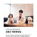 강남다온동물병원