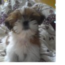 서초등학교 이미지