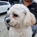 평택항로 이미지