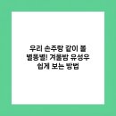유성구청민원실 | 우리 손주랑 같이 볼 별똥별! 겨울밤 유성우 쉽게 보는 방법