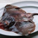 벌교갯벌식당 이미지