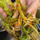 연지공원역 2번출구 | 김해 구산동 엉터리 무한대패 | 16,900원 무한리필 가성비 고깃집(주차tip)