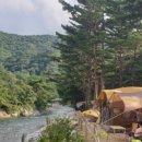 솔밭휴게소식당 이미지