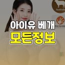 세탁느낌 | 아이유 베개 내돈내산 후기 장점&amp;단점 세탁 방법 커버 및 사이즈 정보
