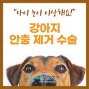 도촌 동물병원 이미지