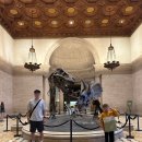 (주)아프리카박물관 | LA 자연사박물관 아이와 가볼만한 곳 입장료 주차 정보