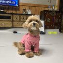 클러스터라운드 이미지