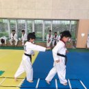 청도태권도 이미지