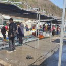 도계생선 이미지