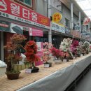 문화아케이트