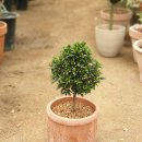 오 가게 이미지