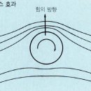 마그누스