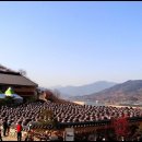 [특별산행]3월27일/쫓비산&홍쌍리 매화꽃축제 이미지