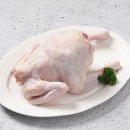 두메토종닭 이미지