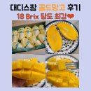 카카오톡 선물 대디스팜 항공직수입 과일 망고 추천 후기
