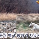 자유시간 - 사천시 신항로 107 | 자유시간