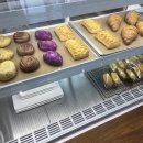 애견의 정원 이미지