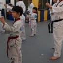 청송태권도장 이미지